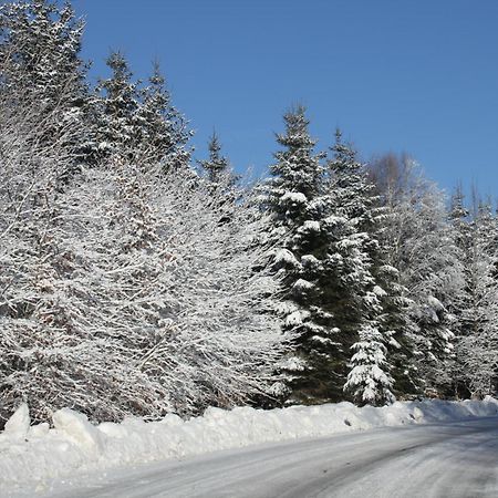 B&B Au Coq En Pate Жале Екстер'єр фото